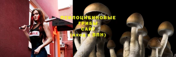 apvp Протвино