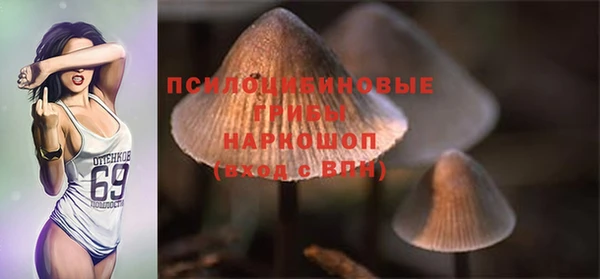 ешки Пролетарск