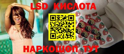 молекула духа Кингисепп