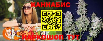 молекула духа Кингисепп