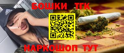 молекула духа Кингисепп