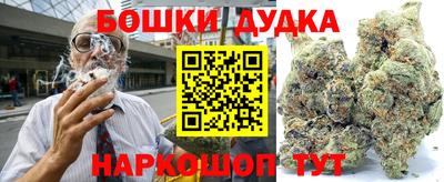 молекула духа Кингисепп