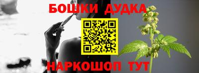 молекула духа Кингисепп