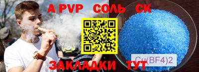 молекула духа Кингисепп