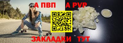 молекула духа Кингисепп
