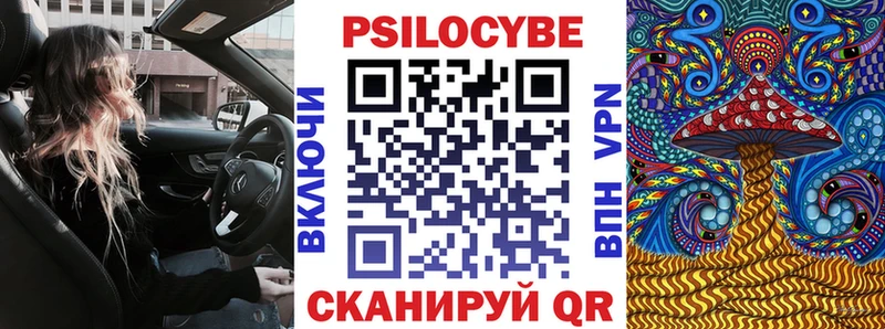 Псилоцибиновые грибы Magic Shrooms Санкт-Петербург