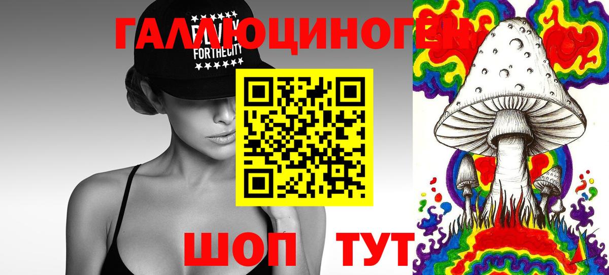 Галлюциногенные грибы Psilocybine cubensis Санкт-Петербург