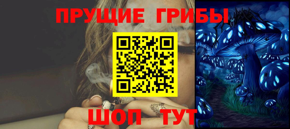 где можно купить наркотик  Псилоцибиновые грибы Psilocybe  Санкт-Петербург  Псилоцибиновые грибы Psilocybe 