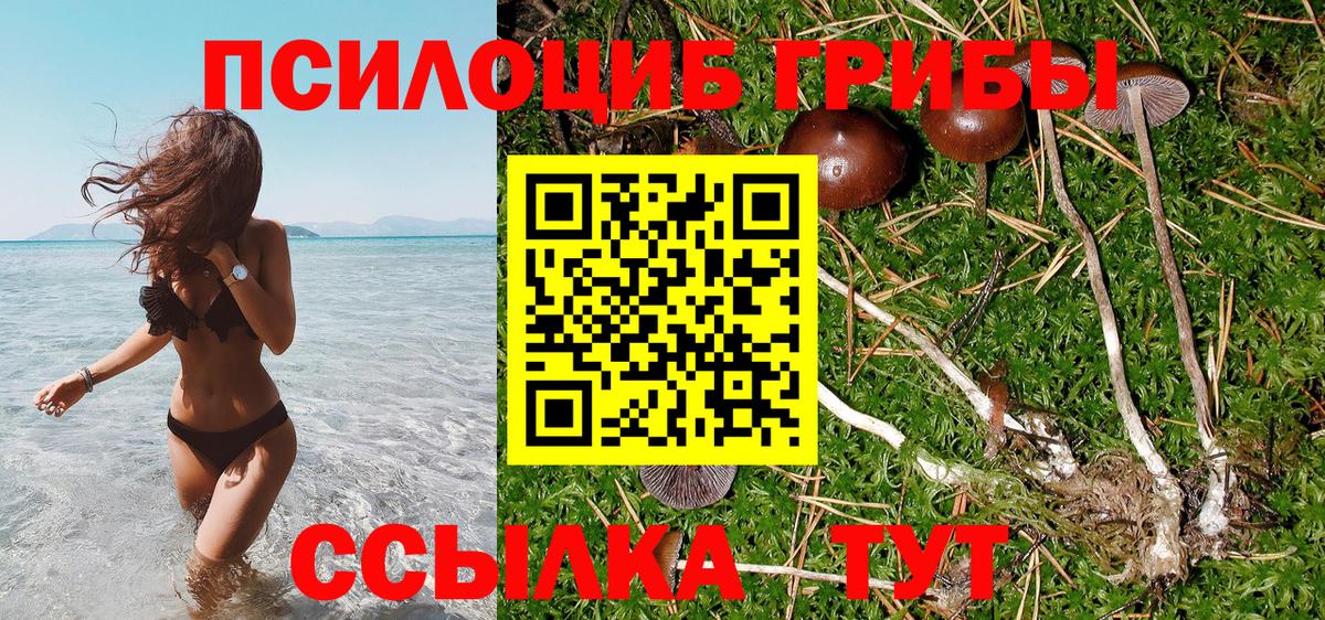 Псилоцибиновые грибы MAGIC MUSHROOMS Санкт-Петербург