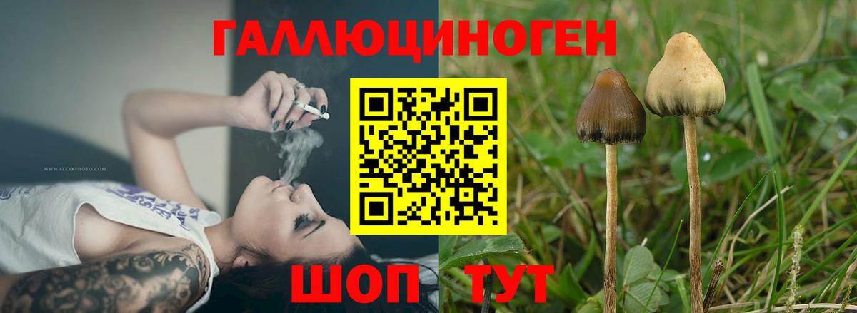 Санкт-Петербург  цены наркотик  Псилоцибиновые грибы мухоморы  Вход с VPN  Псилоцибиновые грибы Magic Shrooms 